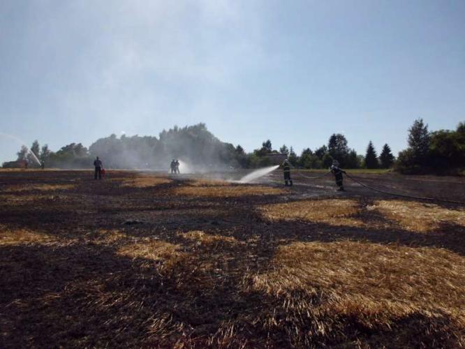 13-07-21 Vrbice (4).jpg