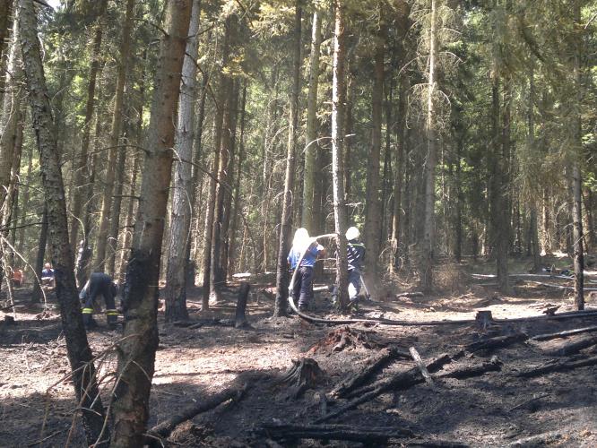 13-07-28 Hynčice (1).jpg