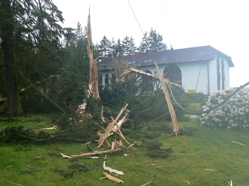 13.5.2017 (DO 17.34) Černovice, padlý strom.JPG
