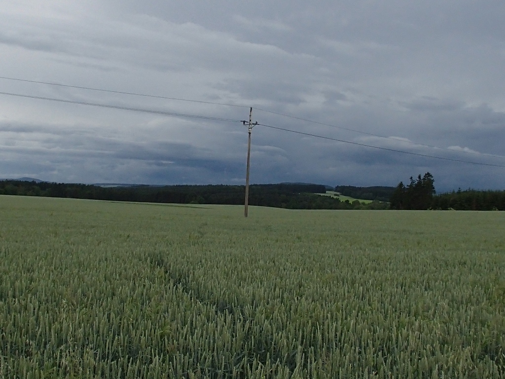 13.6.2016 (PS ) požár Křelovice.JPG