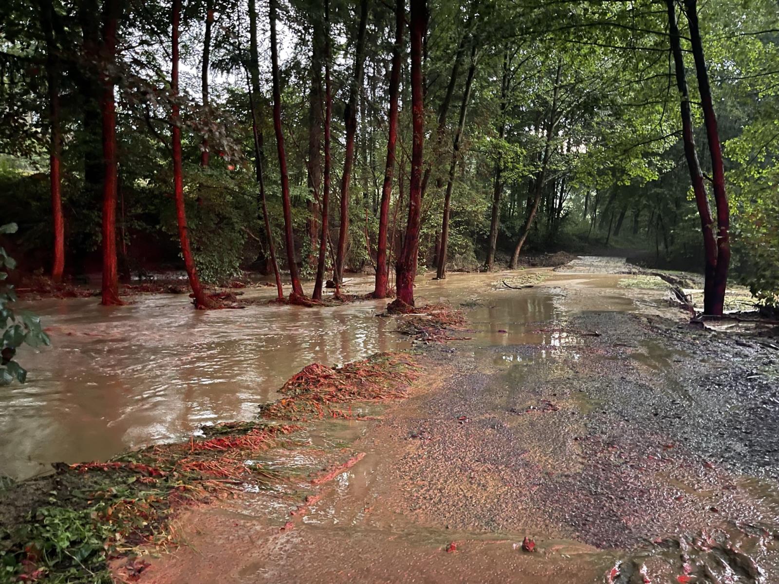 1309_bourky_dzbel (13).JPEG