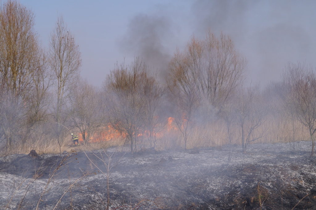 14-03-14 HK, Kydlinovská ulice (2).JPG
