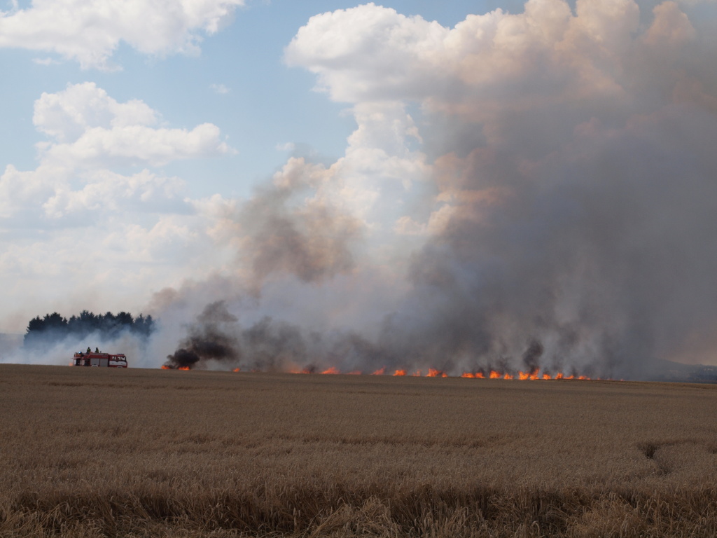 14-07-23 Boharyně.JPG