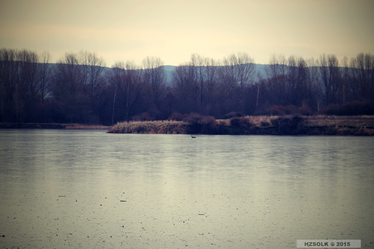 14 ZOZ_9-11-2015 Záchrana srny ze zamrznuté vodní hladiny Chomoutov (4).JPG