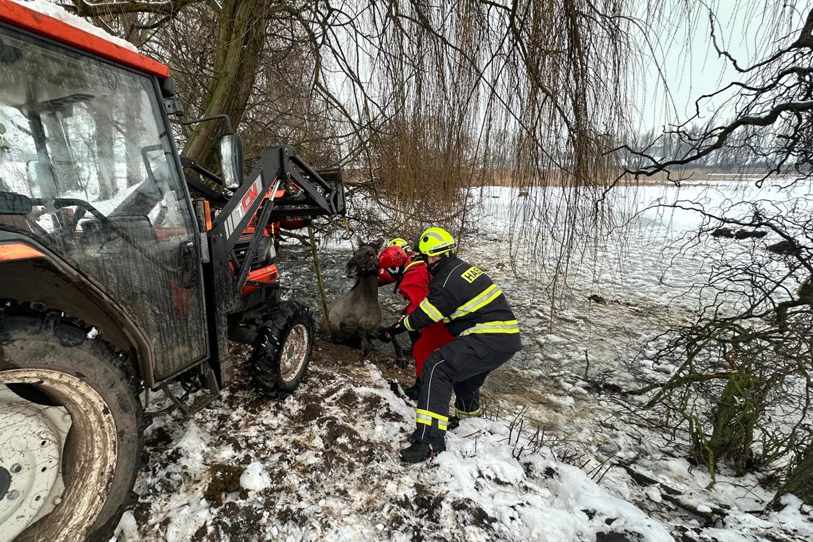 140126-Záchrana koně z prolomeného ledu na rybníku v obci Štolmíř nedaleko Českého Brodu.jpeg