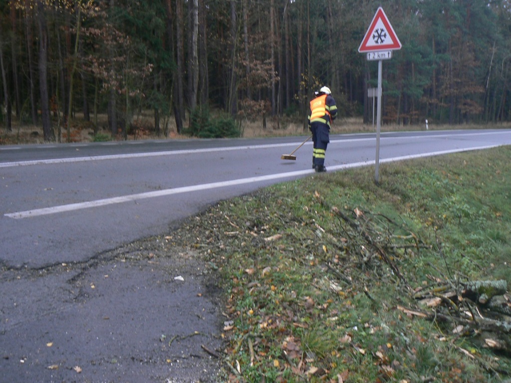 15.11.2015 odstranění stromu Holýšov.JPG