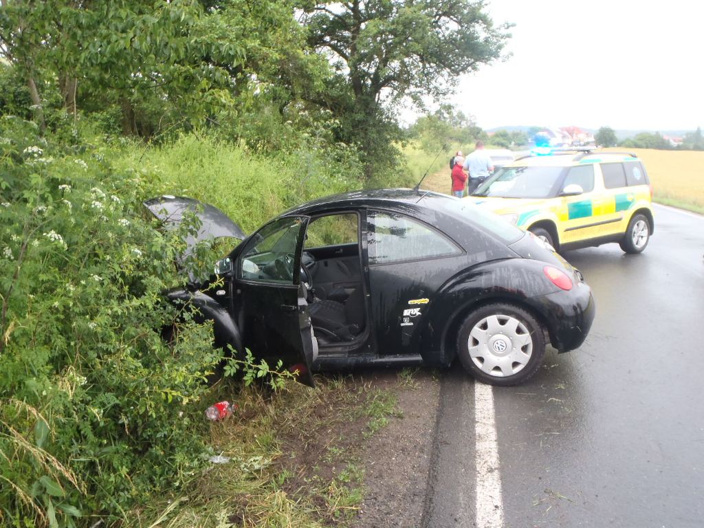 15.6.2016 (PJ 9.19) DN Dobřany.JPG