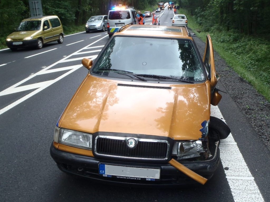 15.7.2016 (PJ 13.41) DN Dobřany, Vysoká.JPG