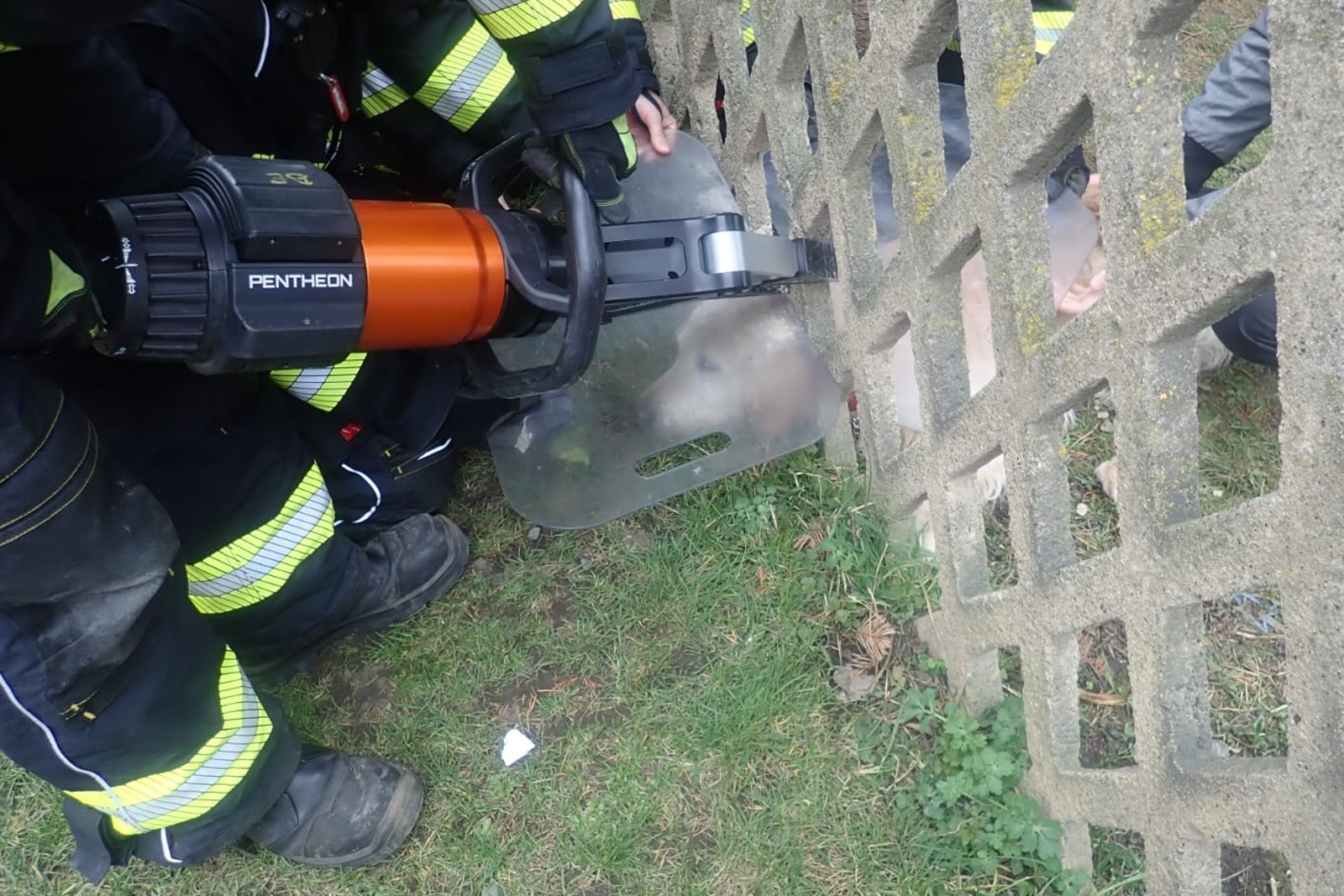 150326-Záchrana psa z betonového plotu v Králově Dvoře na Berounsku.jpeg