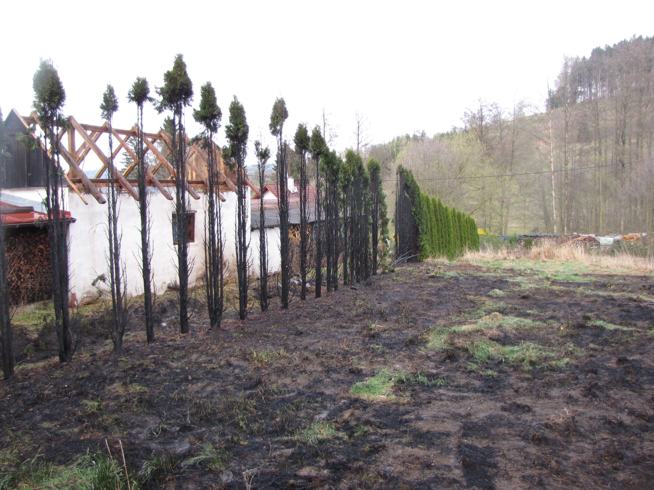 16.4.2015 požár tújí Srbice.JPG