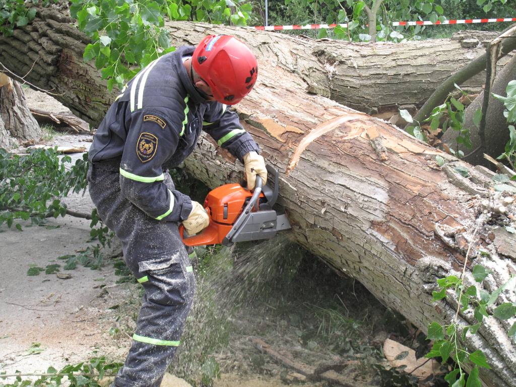 16.6.2017 (PM ) pád stromu - kilometrovka.JPG