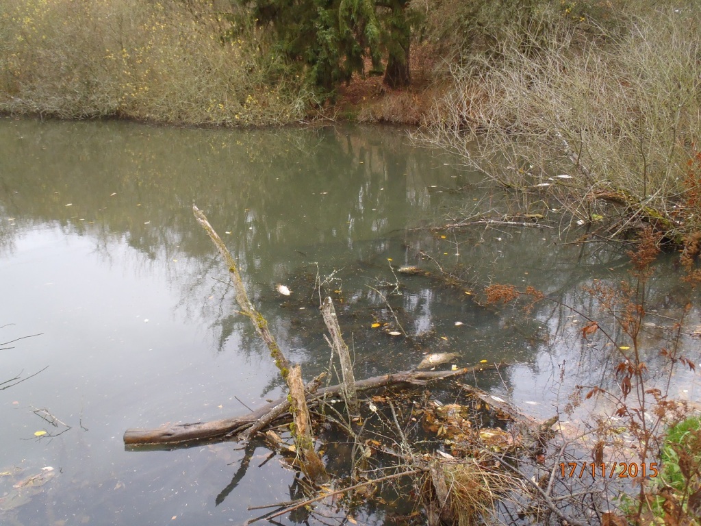 17.11.2015 UNL Tachov.JPG