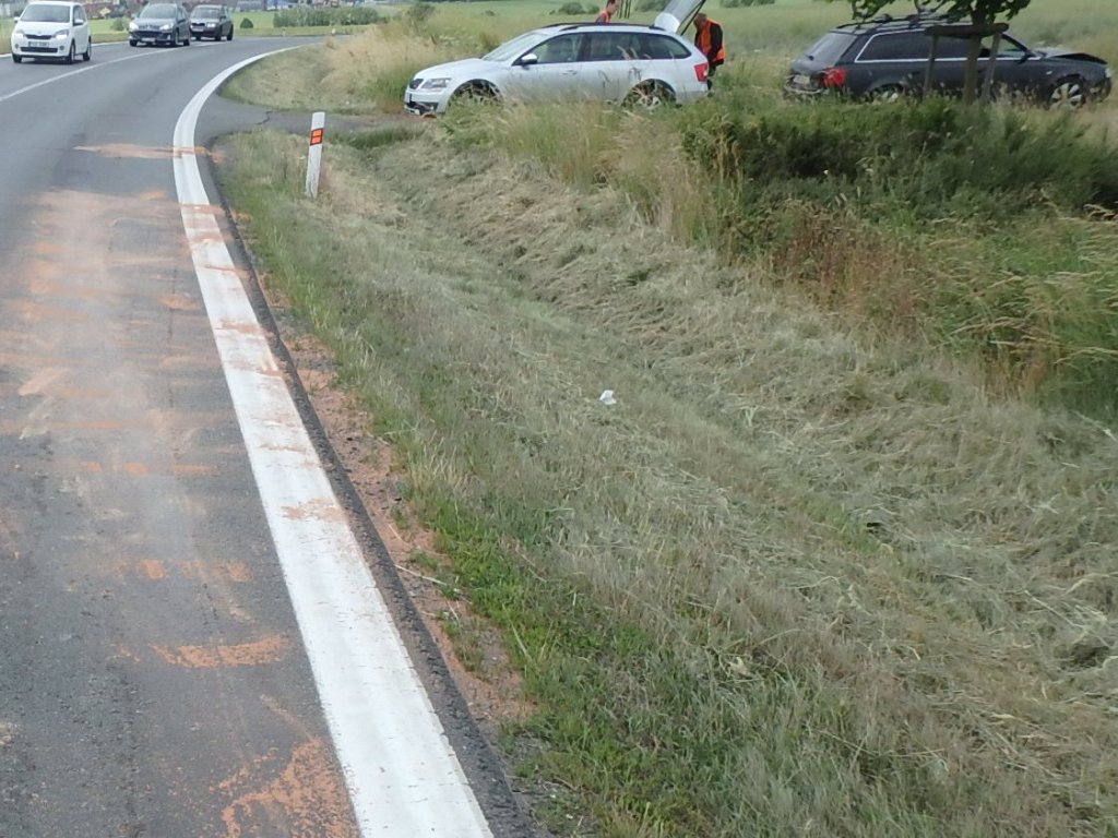 17.6.2017 (PJ 8.39) DN Přeštice.JPG