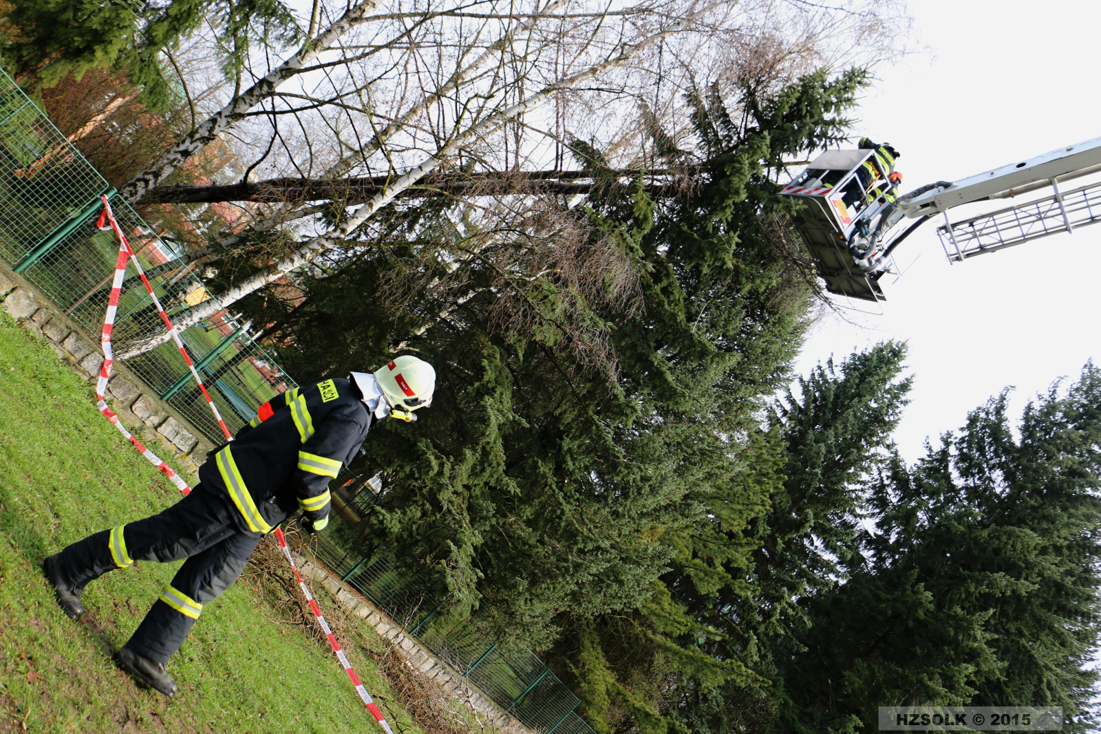 18 TP_Olomouc_Jilova_1-4-2015 odstranění stromu Olomouc (25).JPG