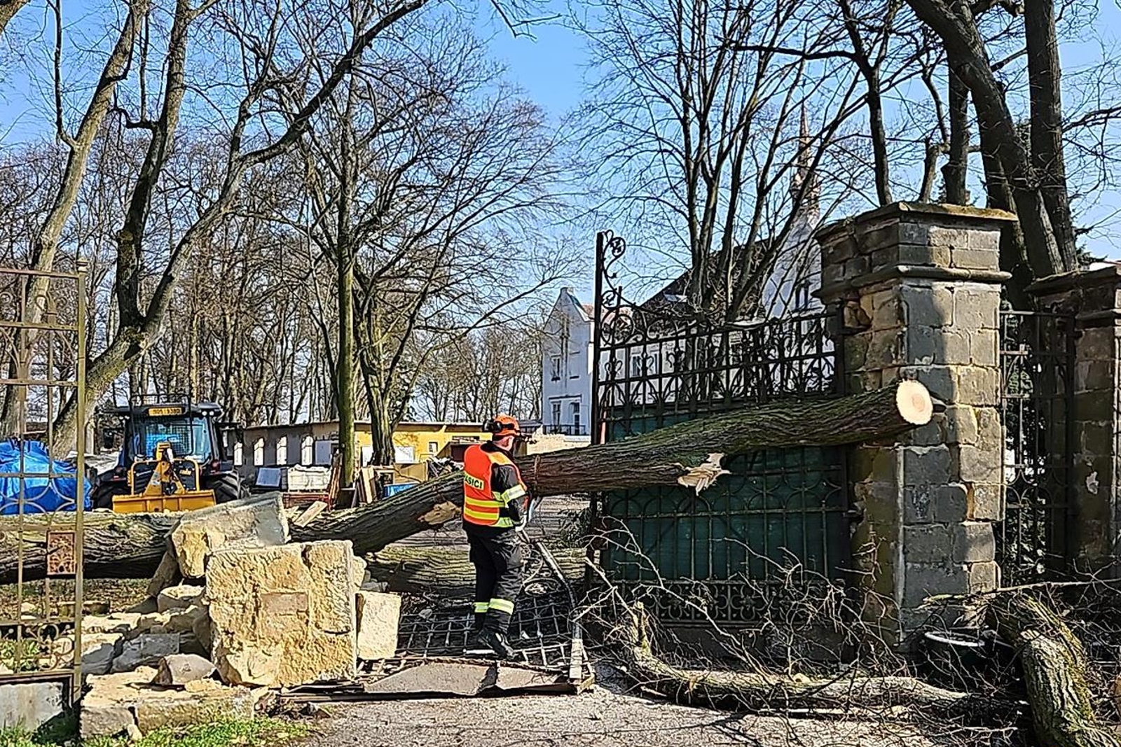 180326-Odstraňování padlého stromu na vstupní bránu zámku Řepín na Mělnicku.jpg