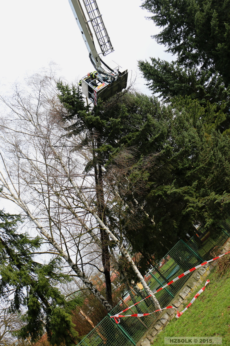 19 TP_Olomouc_Jilova_1-4-2015 odstranění stromu Olomouc (26).JPG