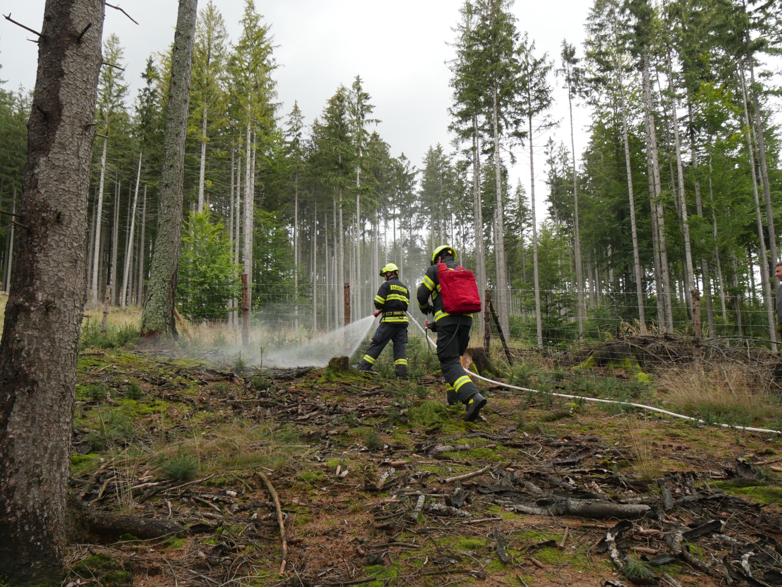 1909_cviceni_lesni_pozary_jesenik (5).jpeg