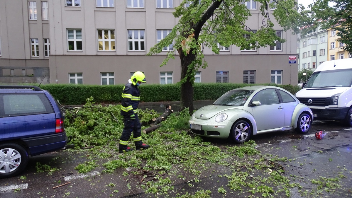 2 Polámaný strom ve vozovce
