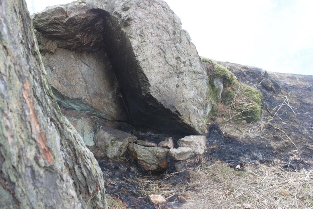 2 Požár lesa, Libějovické Svobodné Hory - 29. 9. 2015 (5).jpg