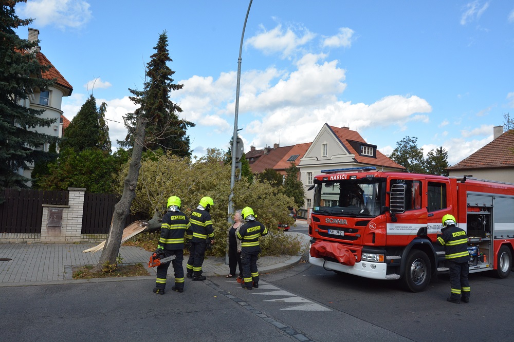 2 Spadlý strom Ořechovka