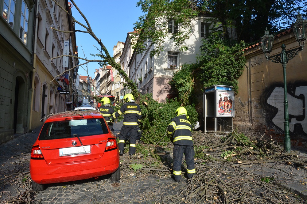 2 Spadlý strom přes cestu