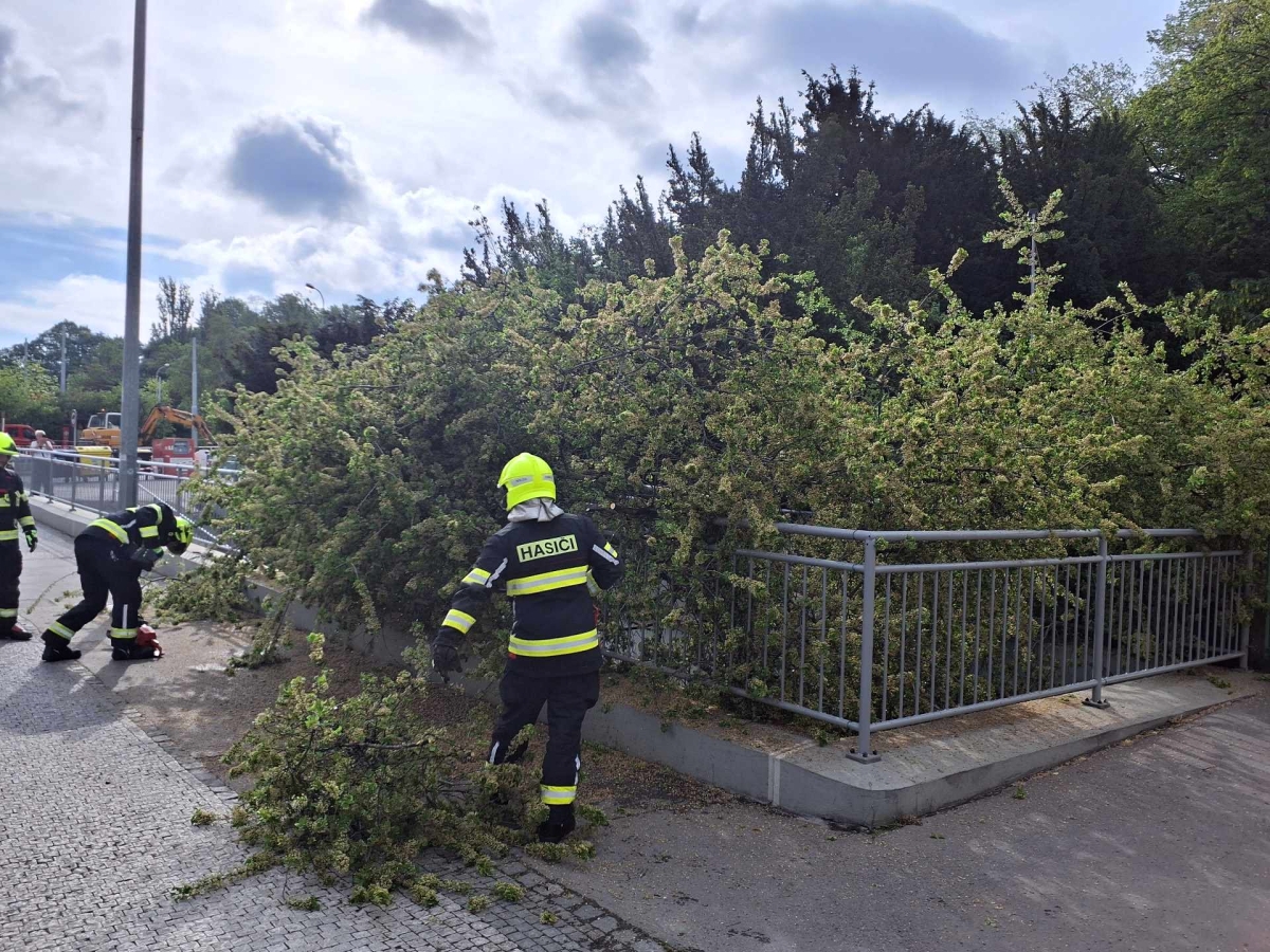 2 Spadlý strom přes podchod