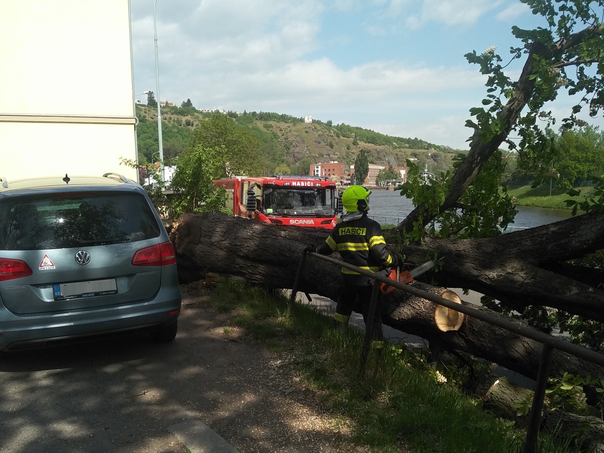 2 Strom přes cestu