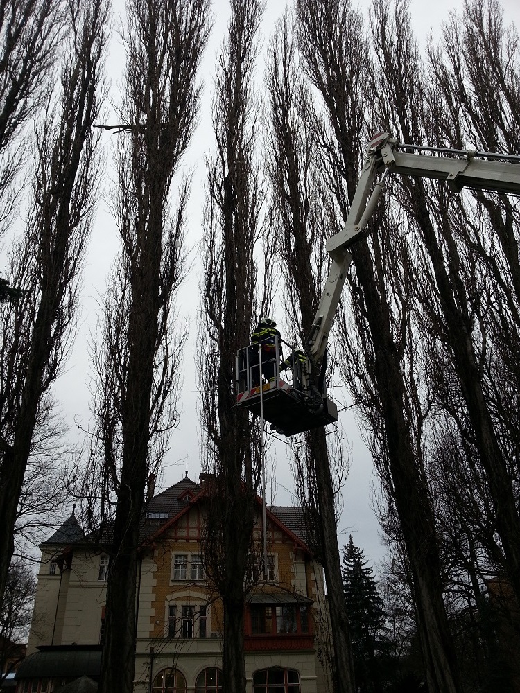 2 Stromy, České Budějovice - 9. 1. 2015 (4).jpg