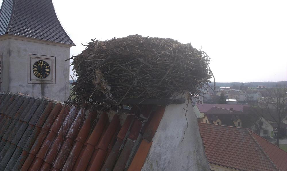 2 Záchrana čápů, Dubné - 11. 4. 2015 (2).jpg