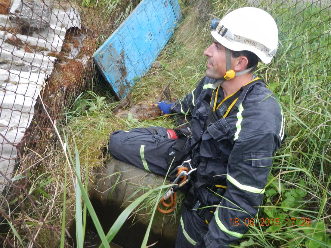 2 Záchrana srnky, Planá nad Lužnicí - 18. 6. 2015 (5).jpg