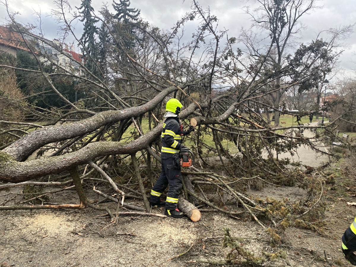 2 Zprůchodnění parku