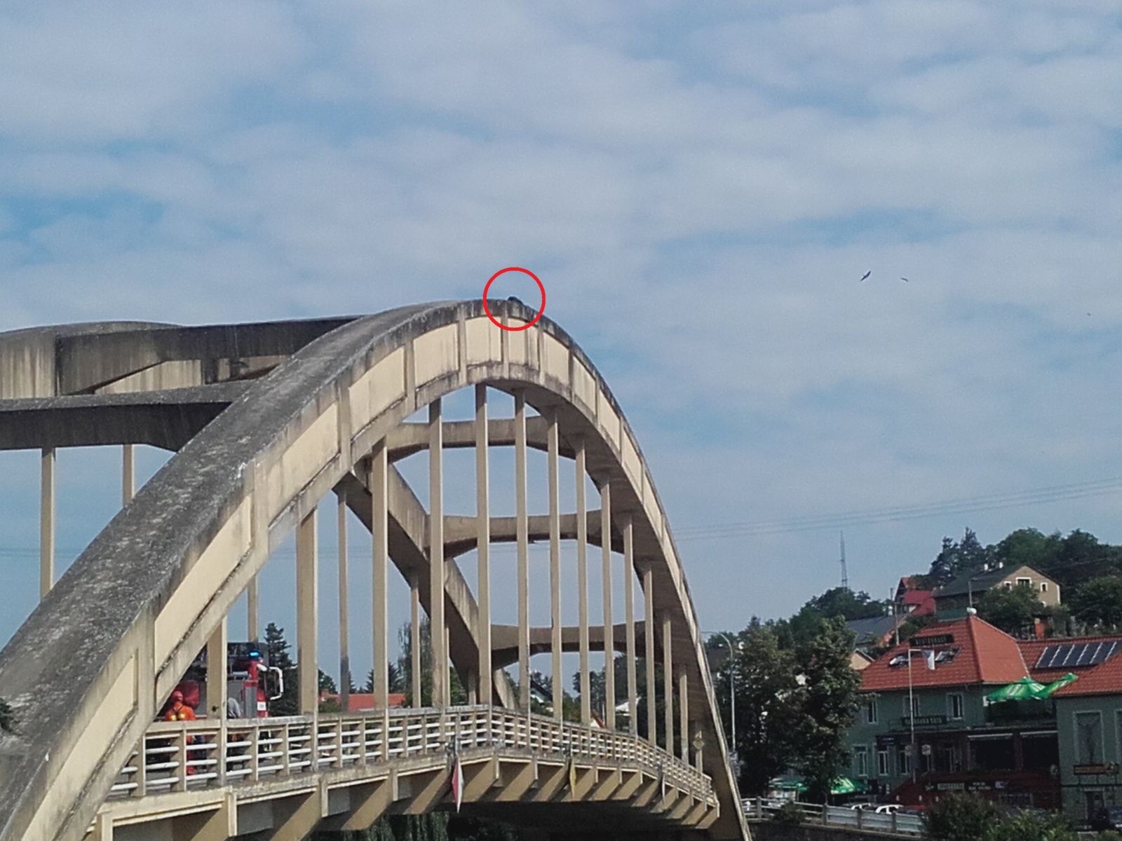 2. Záchrana muže z mostního oblouku1.jpg