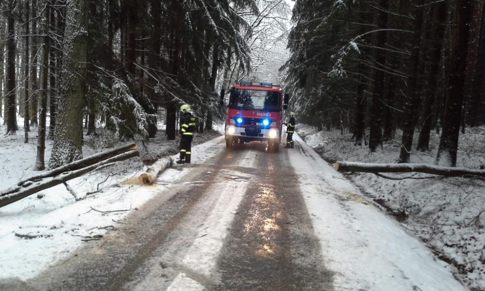 2.3.2016 strom Zahořany (DO 7.25).jpg