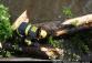 20130516A_Strom_Kostk02