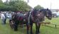 20130525_100letcekyne02