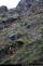 20140208B_00927_Ko020