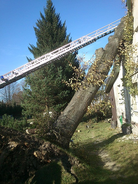 2014_11_05 Vitr MSK - Fr.p.R. (5)m.jpg