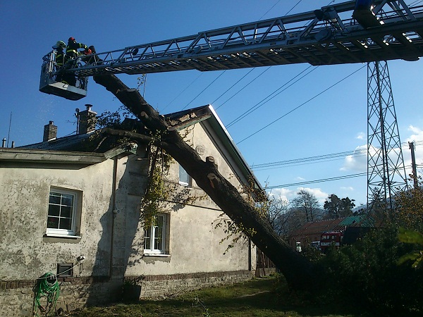 2014_11_05 Vitr MSK - Fr.p.R. (7)m.jpg