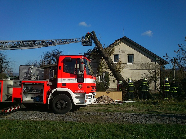 2014_11_05 Vitr MSK - Fr.p.R. (8)m.jpg