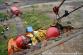 20150618_USAR_081
