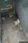 20150723_obr. 12