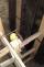 20150903_obr. 11