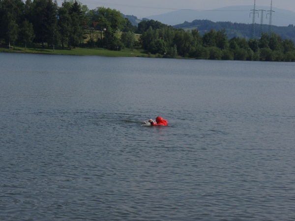 2015_06_11 Zachrana tonouci zeny Olesna 02m.jpg