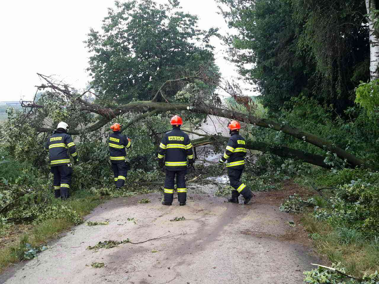 2019-06-20-bouřky v JmK/PBM_131T-2019_06_20-e36f37f9.jpg
