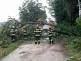 2019-06-20-bouřky v JmK/PBM_131T-2019_06_20-e36f37f9