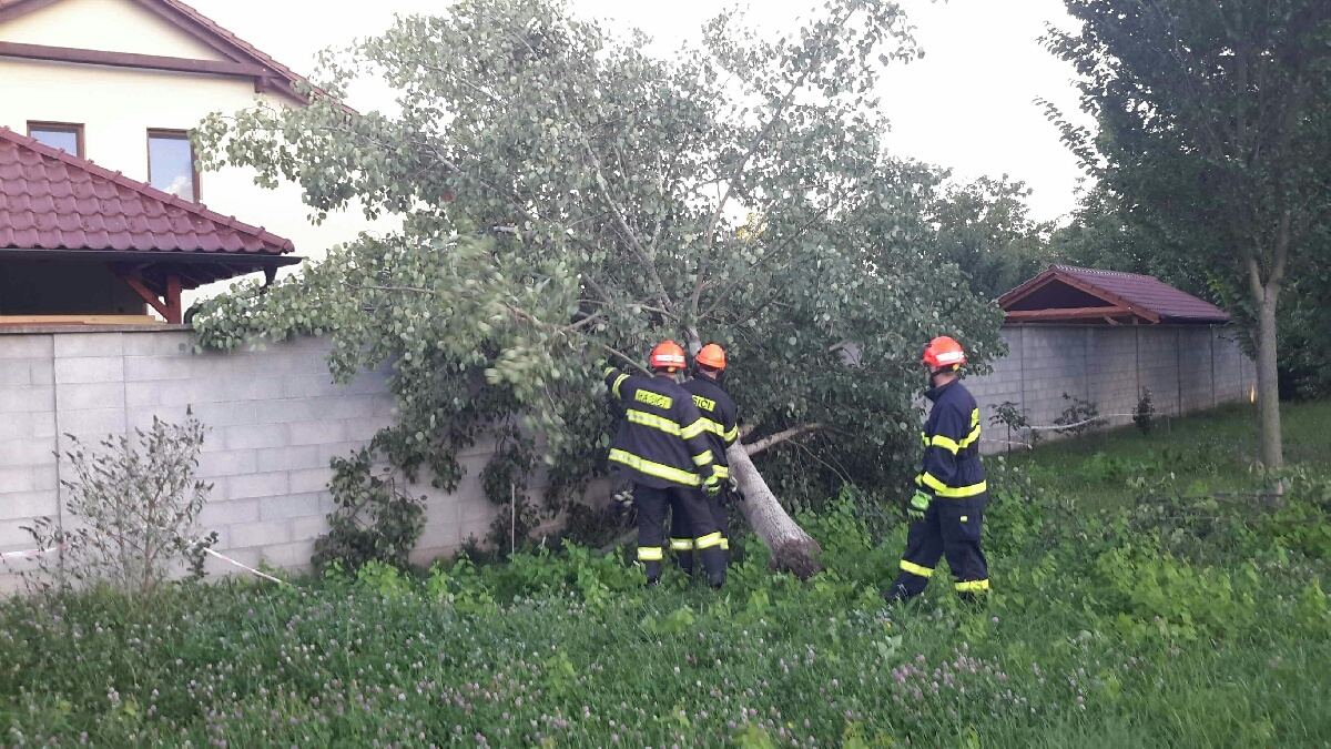 2020-08-26 TP OS 328532062-gina (1).jpg