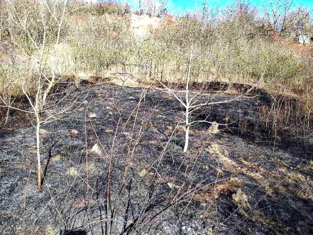 2022-02-23-Požáry porostů v JMK/2022-02-23-požáry v JMK (3).jpg