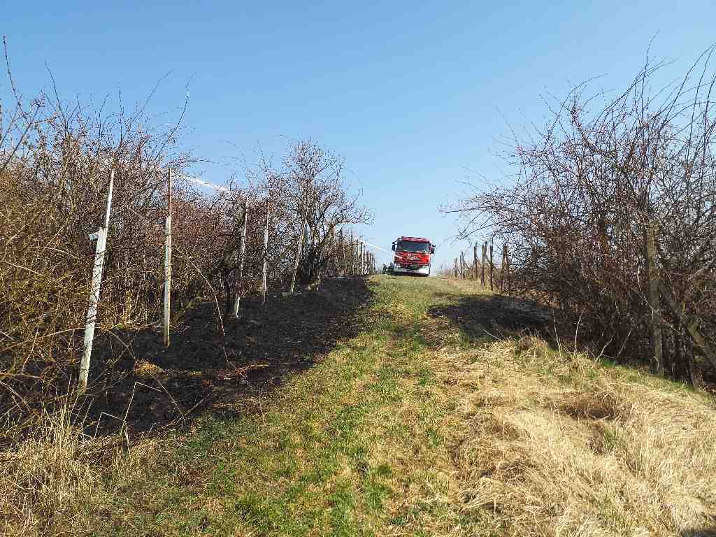 2022-03-25-požáry v JMK/Břeclavsko_3.jpg