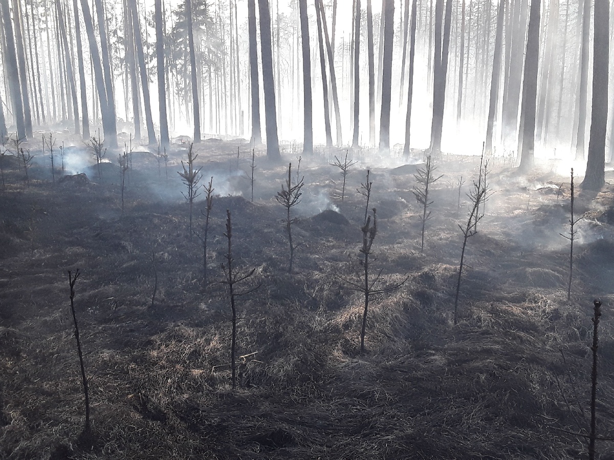 2022-03-25-požáry v JMK/Brno-venkov_1.jpg