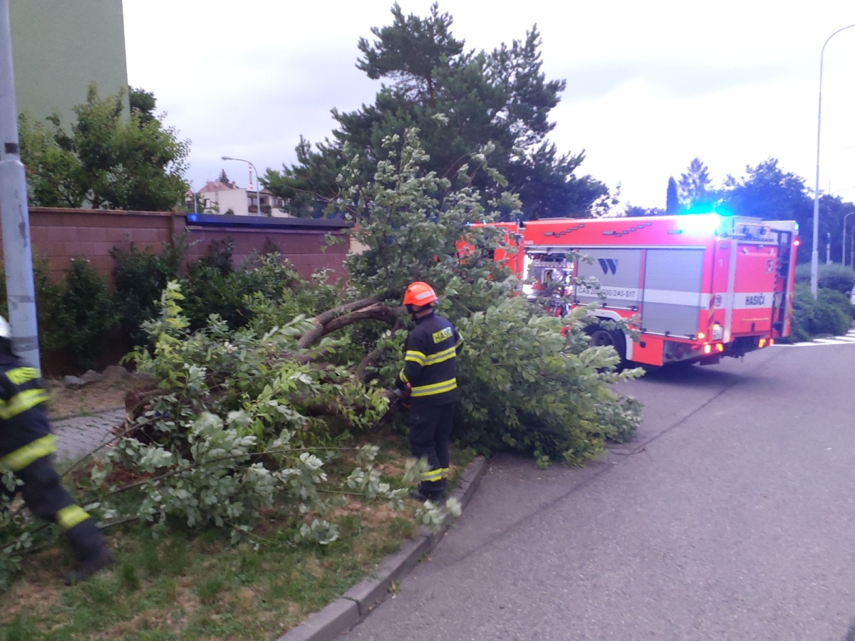 2022-07-01 vyvrácený strom.jpg